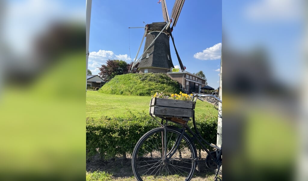 Afbeelding