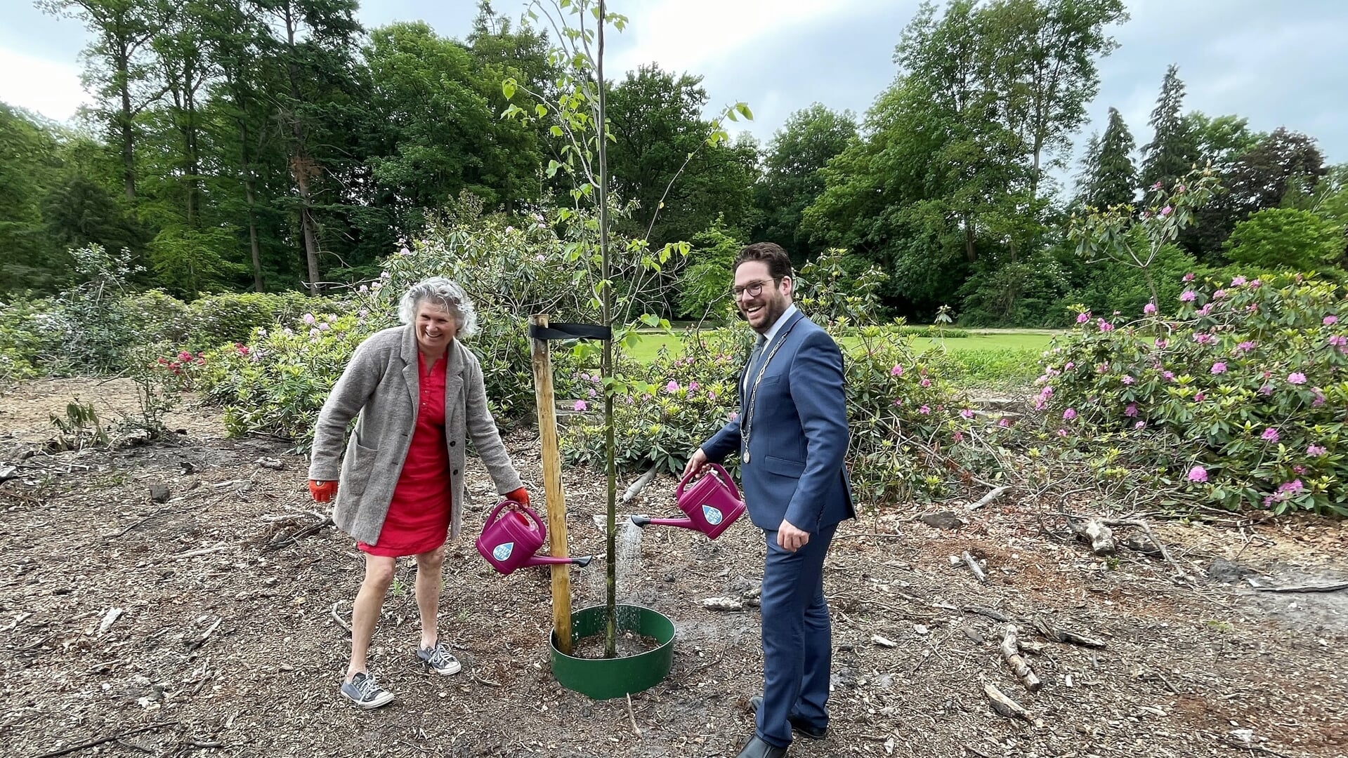 Cahtrien Croll en burgemeester Sebastiaan van 't Erve verzorgen de door de gemeente geadopteerde boom op landgoed Oolde. Foto: Henri Bruntink