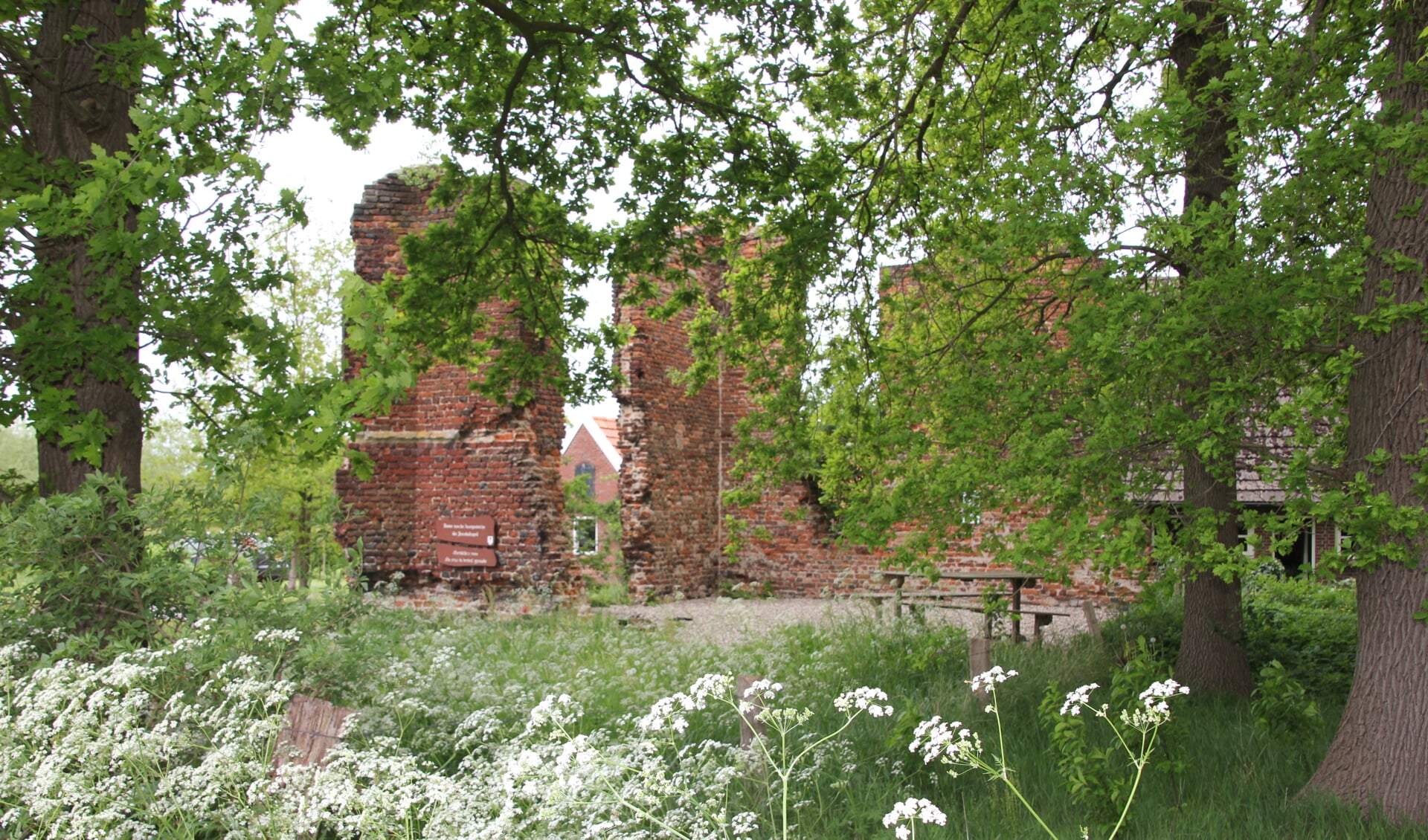 De ruïne van de St. Jacobskapel. Foto: Hans Piek