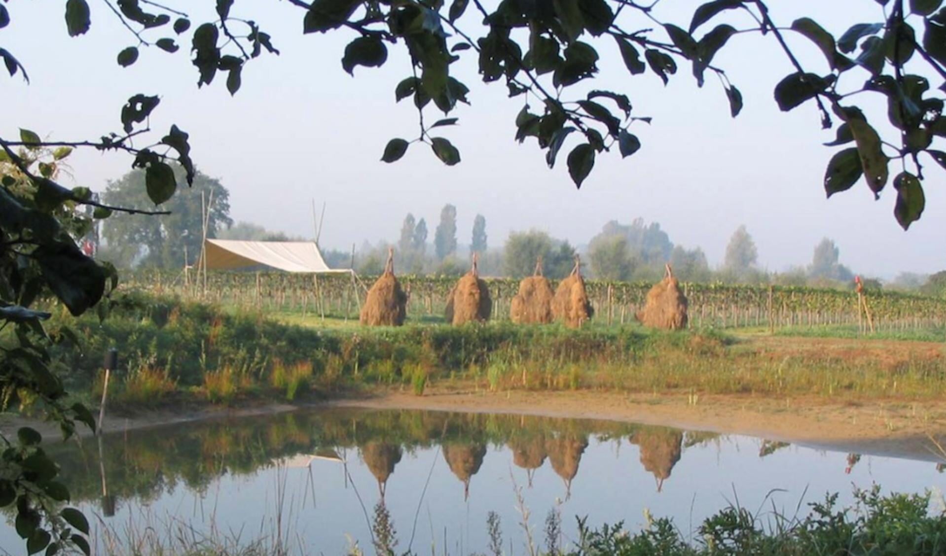 Het wijngoed aan de Kostedeweg in Vorden. Foto: Wijngoed Kranenburg