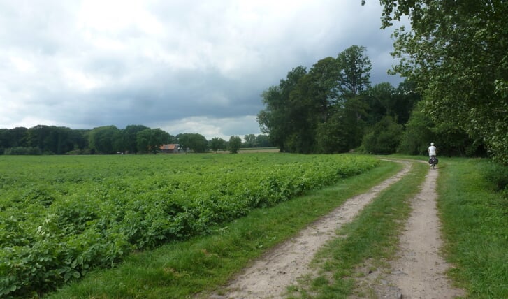 Afbeelding