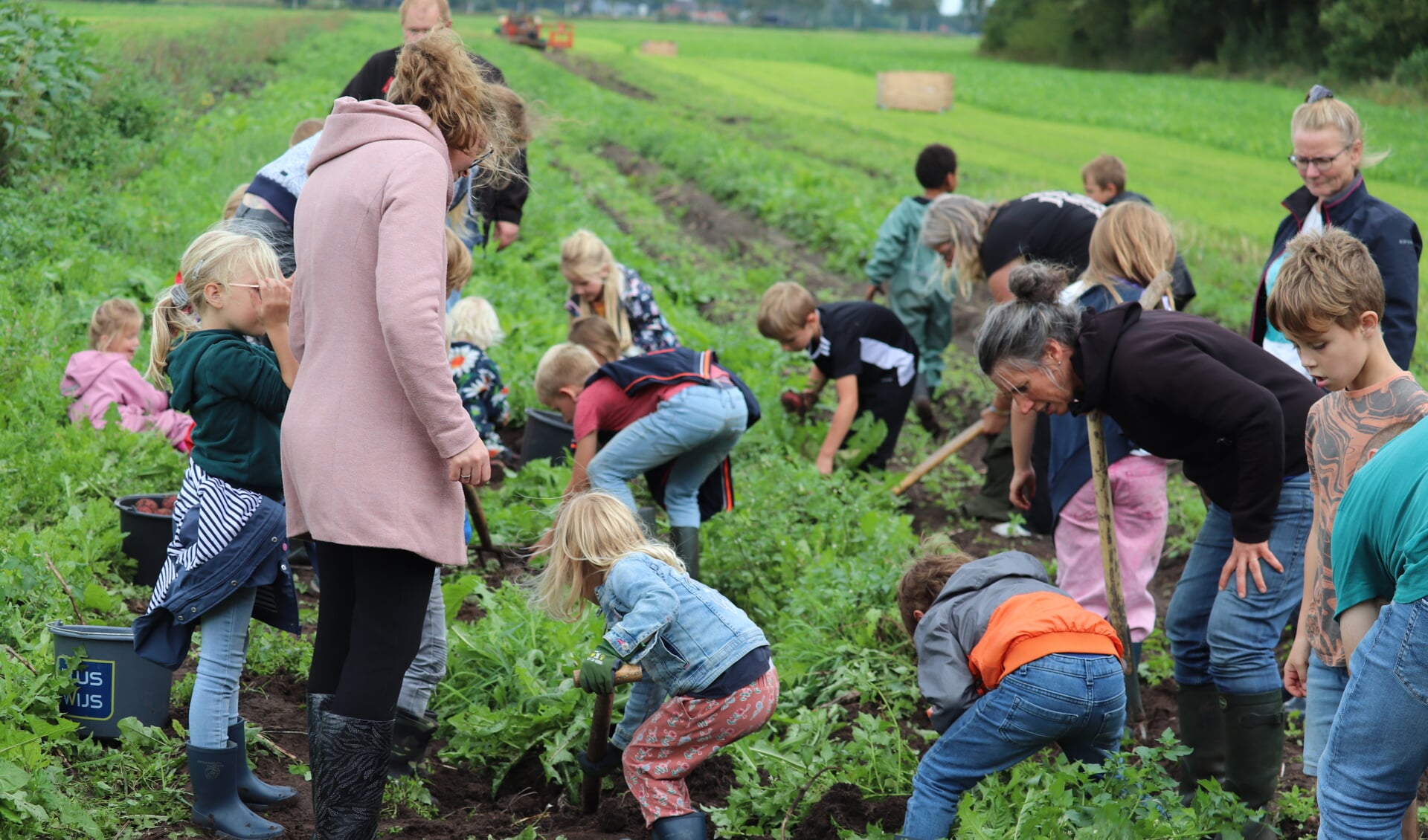 De kinderen zijn gedreven op zoek naar aardappels. Foto: Arjen Dieperink