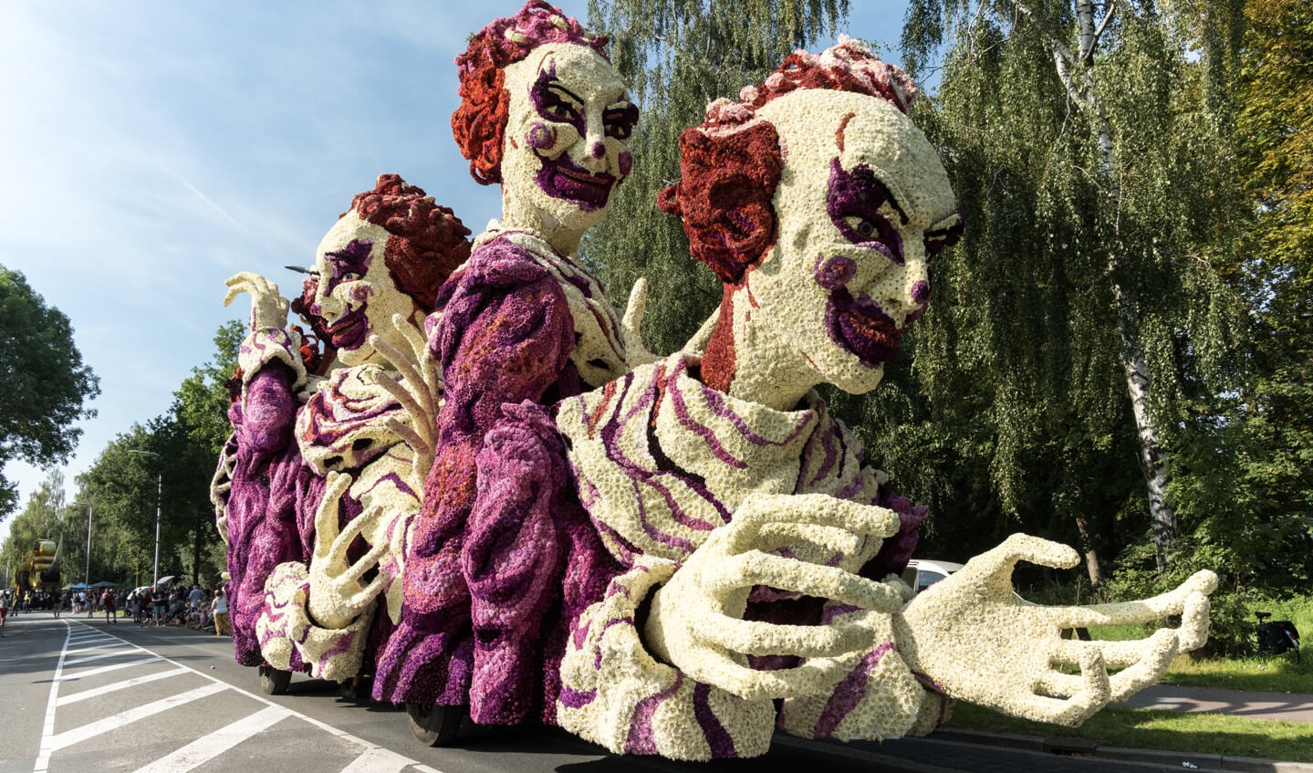 Hooiland met Clowns. Foto: Janette van Egten