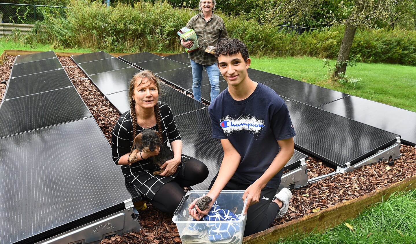 Petra met hondje Swieber, Toon, en Shakib met egel bij de nieuwe grondopstelling met zonnepanelen. Foto: Roel Kleinpenning