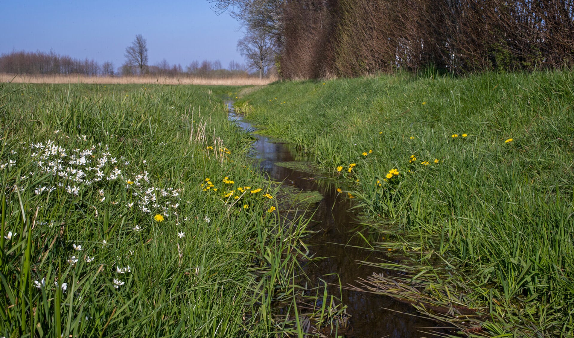 De Heksenlaak lijkt een onooglijk beekje maar is van belang voor de waterhuishouding in het stroomgebied. Bron: Waterschap Rijn en IJssel