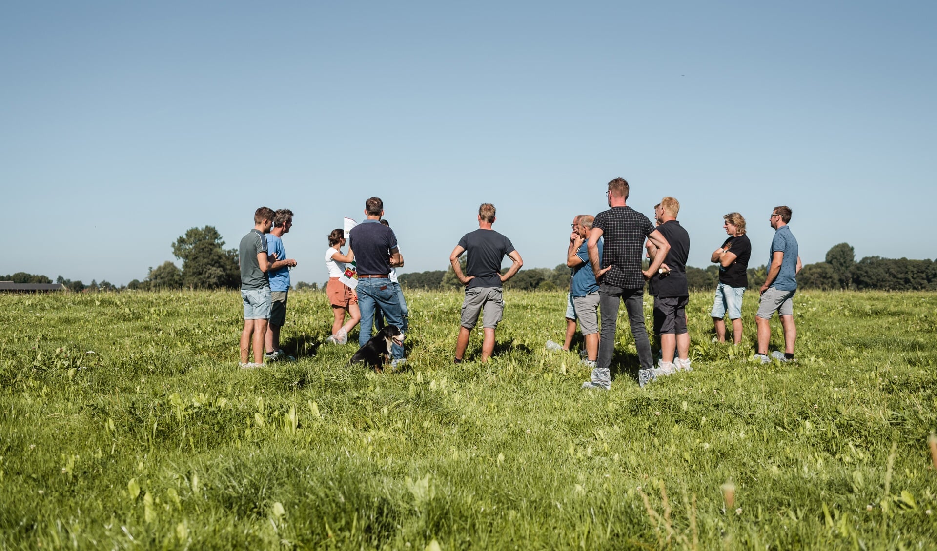 Samen leren voor Natuurinclusieve landbouw in de Achterhoek en Stedendriehoek. Foto: PR