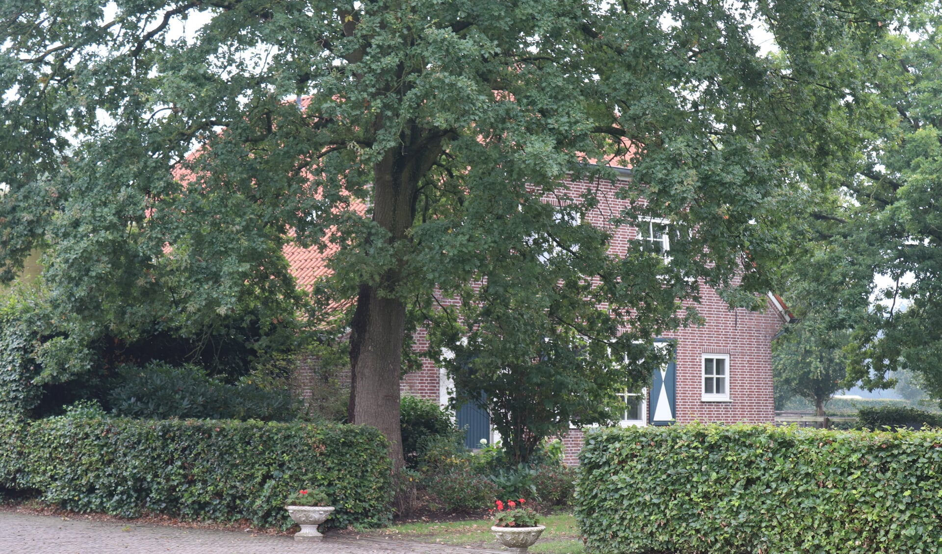 Enigszins verscholen achter een haag en een boom ligt de boerderij waar voorheen Johan Boesveld woonde. Foto: Arjen Dieperink