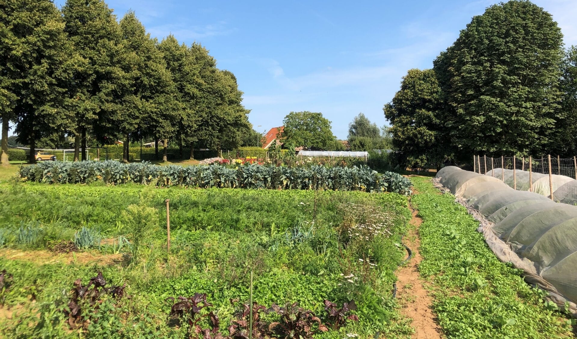 De Proeftuin, een grote moestuin van Stichting Het Passion Hummelo. Foto: PR