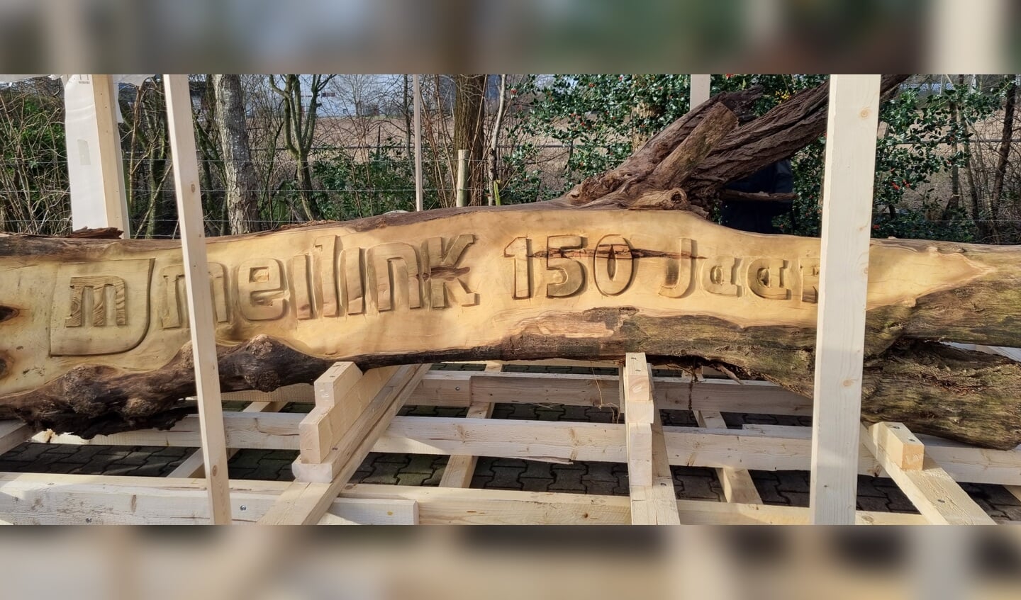 De boomstronk met ‘Meilink 150 Jaar’. Foto: Rob Weeber