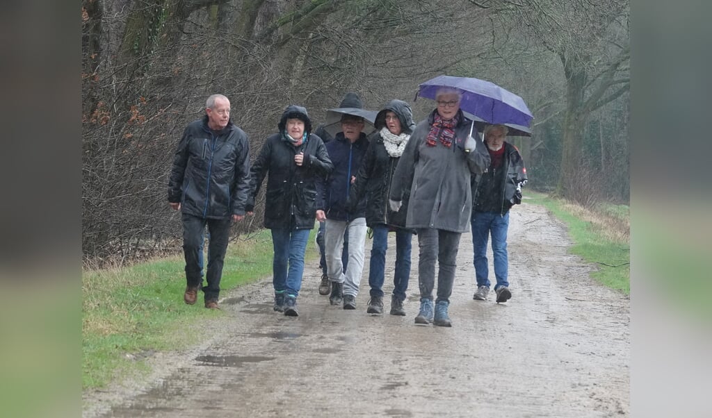 De regen was zondag spelbreker tijdens de vierde winterwandeling van DOS Barchem vanuit Ruurlo. Foto: Achterhoekfoto.nl/ Gradus Derksen