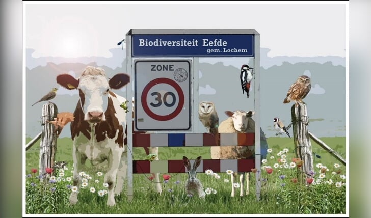 De Biodiversiteit Werkgroep in Eefde zet zich ook dit jaar weer in voor een bloeiende en bruisende omgeving. Beeld: S. Vlaardingerbroek