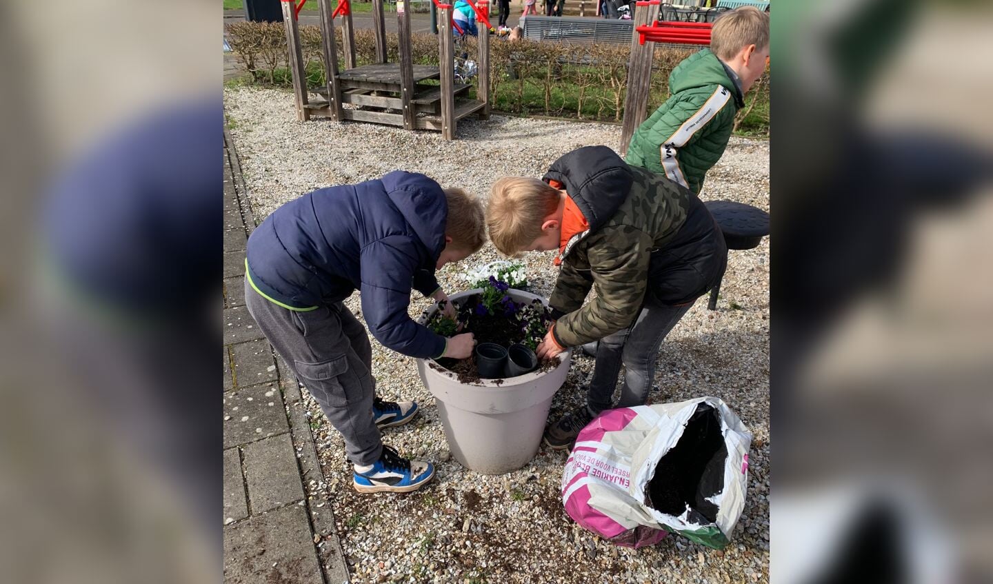 De leerlingen uit groep 1-2 t/m 6 hebben op diverse plaatsen planten gepoot. Foto: PR