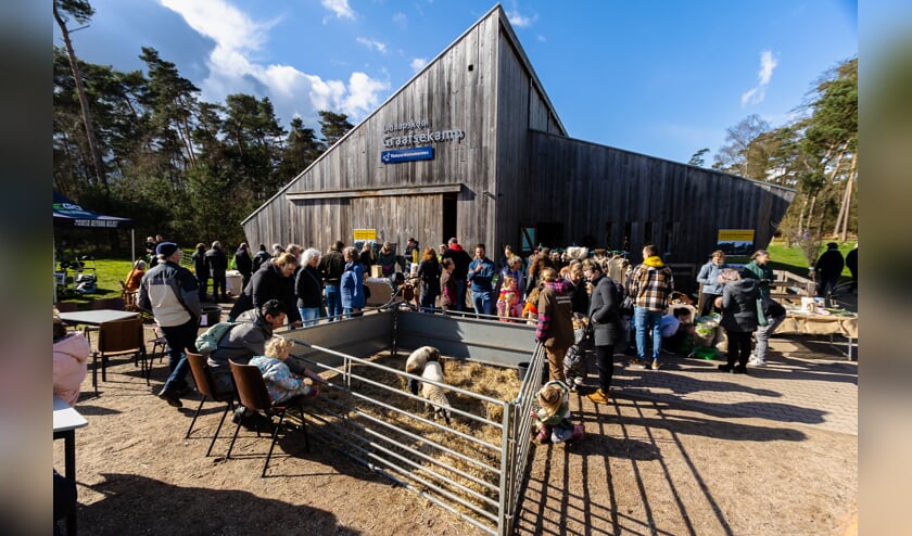 De open dag bij Schaapkudde De Belhamel was drukbezocht. Foto: Damon Teerink