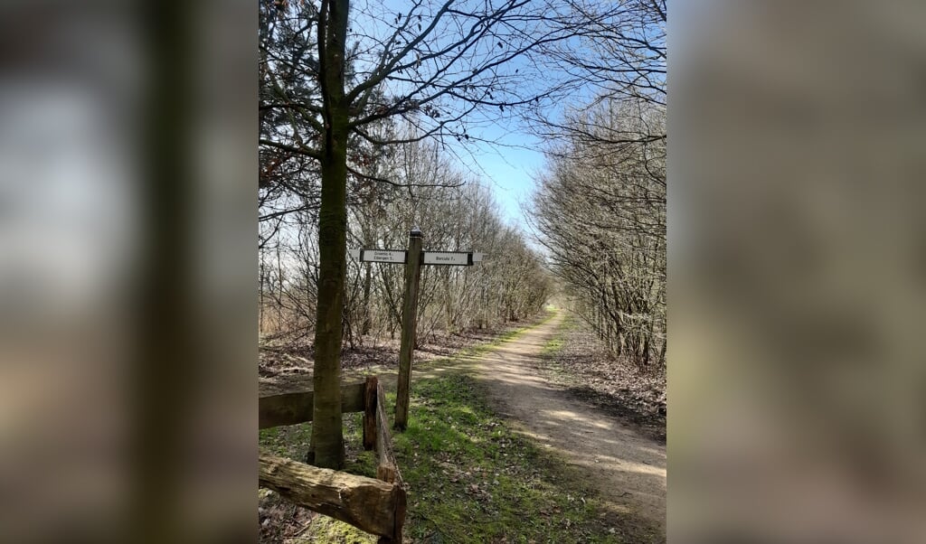 Onderweg is het genieten van genieten van prachtige weggetjes en paadjes. Foto: L. Nahuis