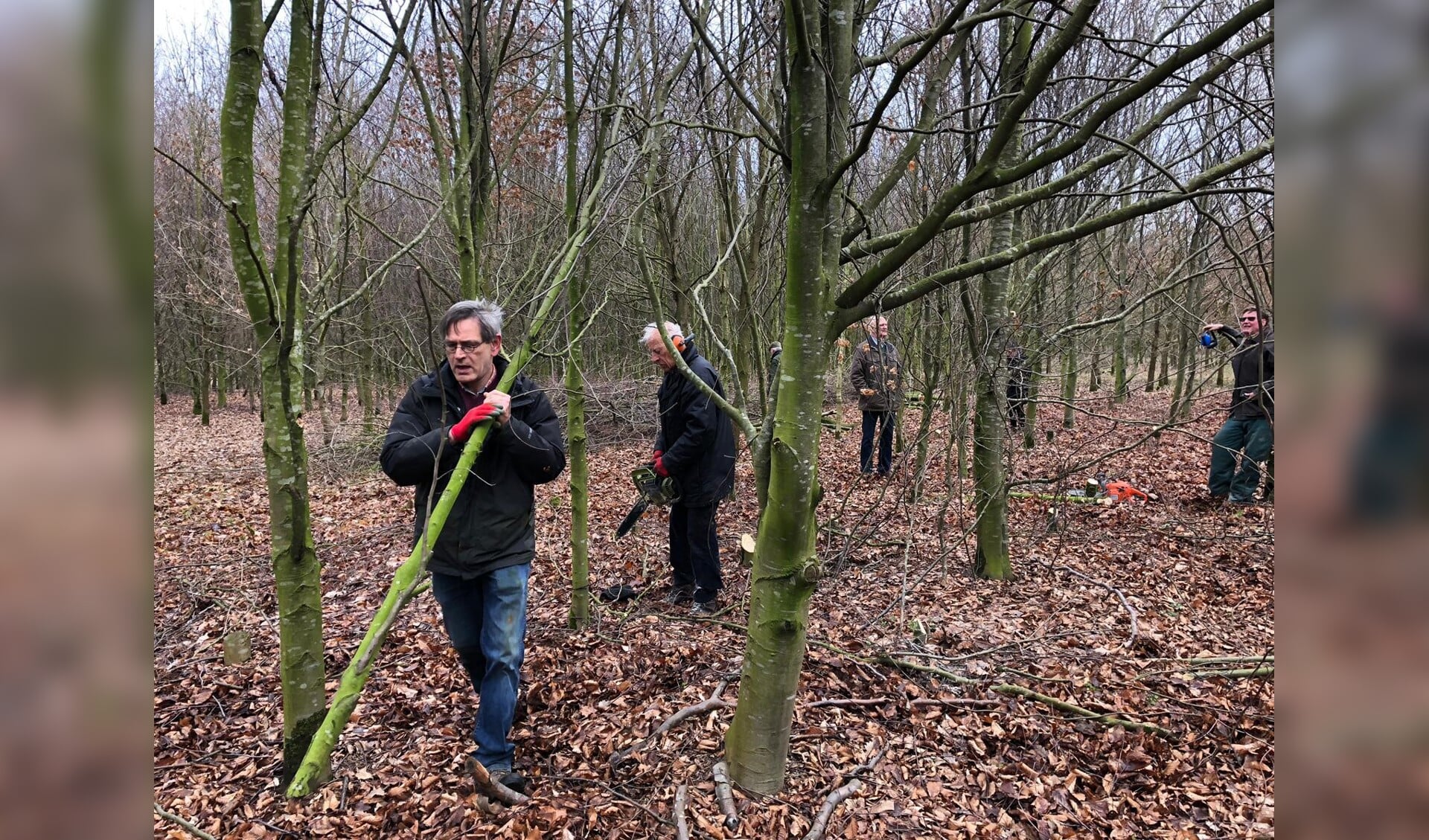 Enkele Rotaryleden helpen bij het snoeien van een bosje in Gaanderen. Foto: RCDOIJ
