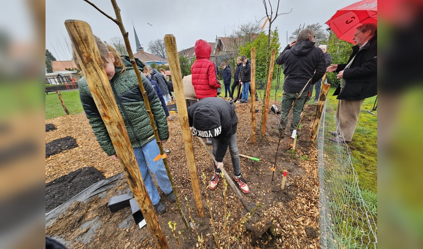 Leerlingen van basisschool Canisius planten een voedseltuin aan op het schoolterrein.