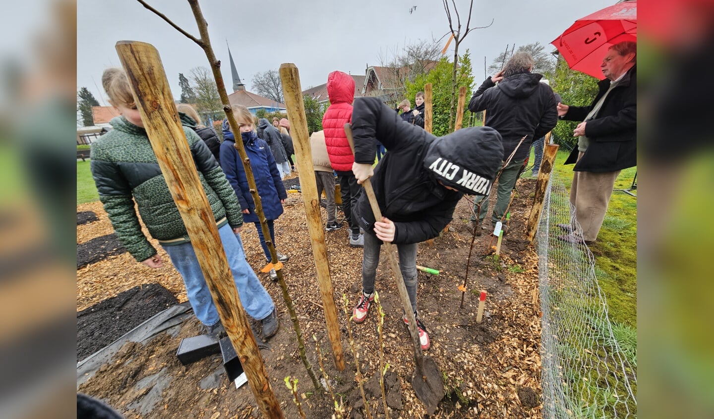 Leerlingen van basisschool Canisius planten een voedseltuin aan op het schoolterrein.