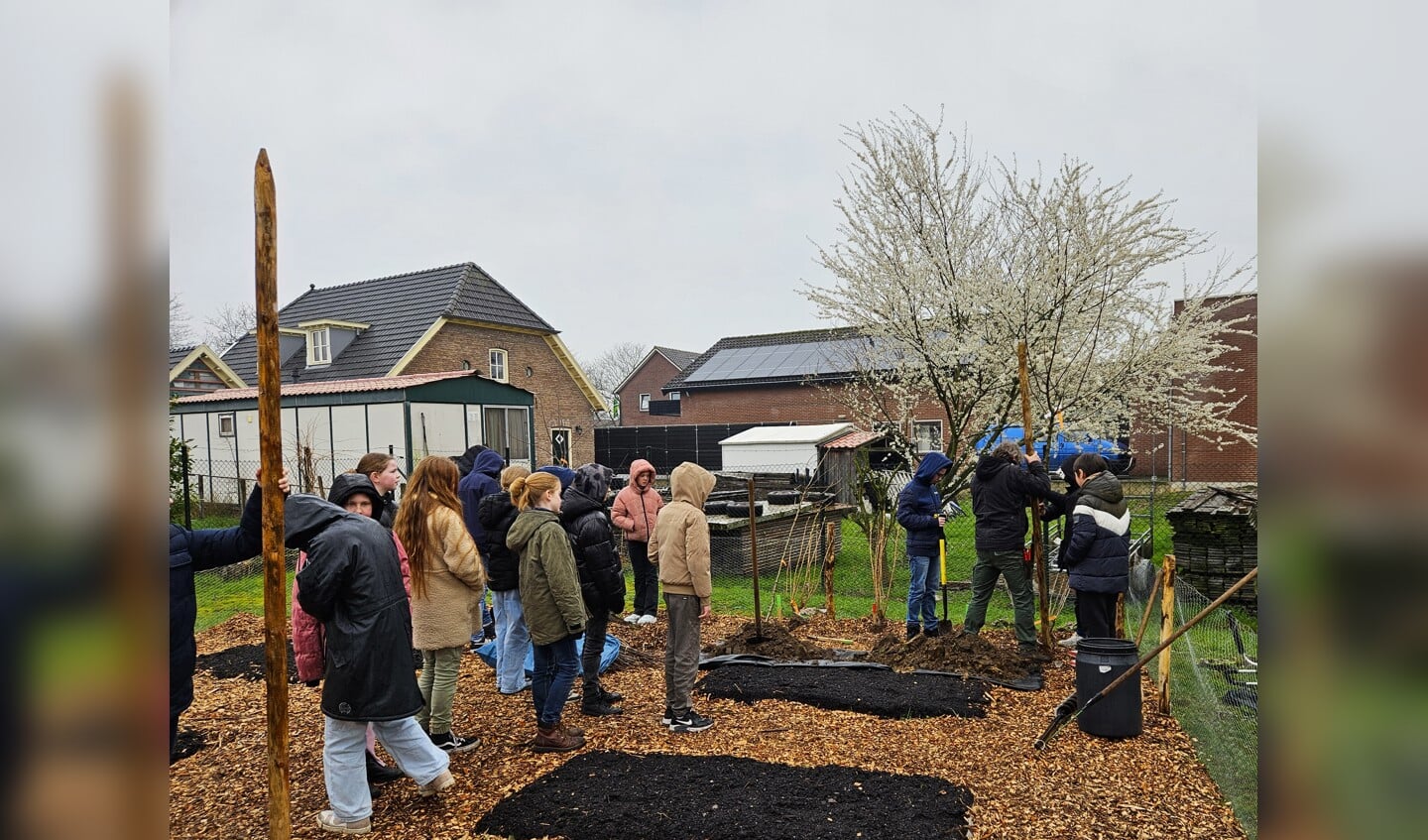 Hovenier Oswald te dorsthorst helpt leerlingen van basisschool Canisius planten een voedseltuin aan te planten op hun schoolterrein.