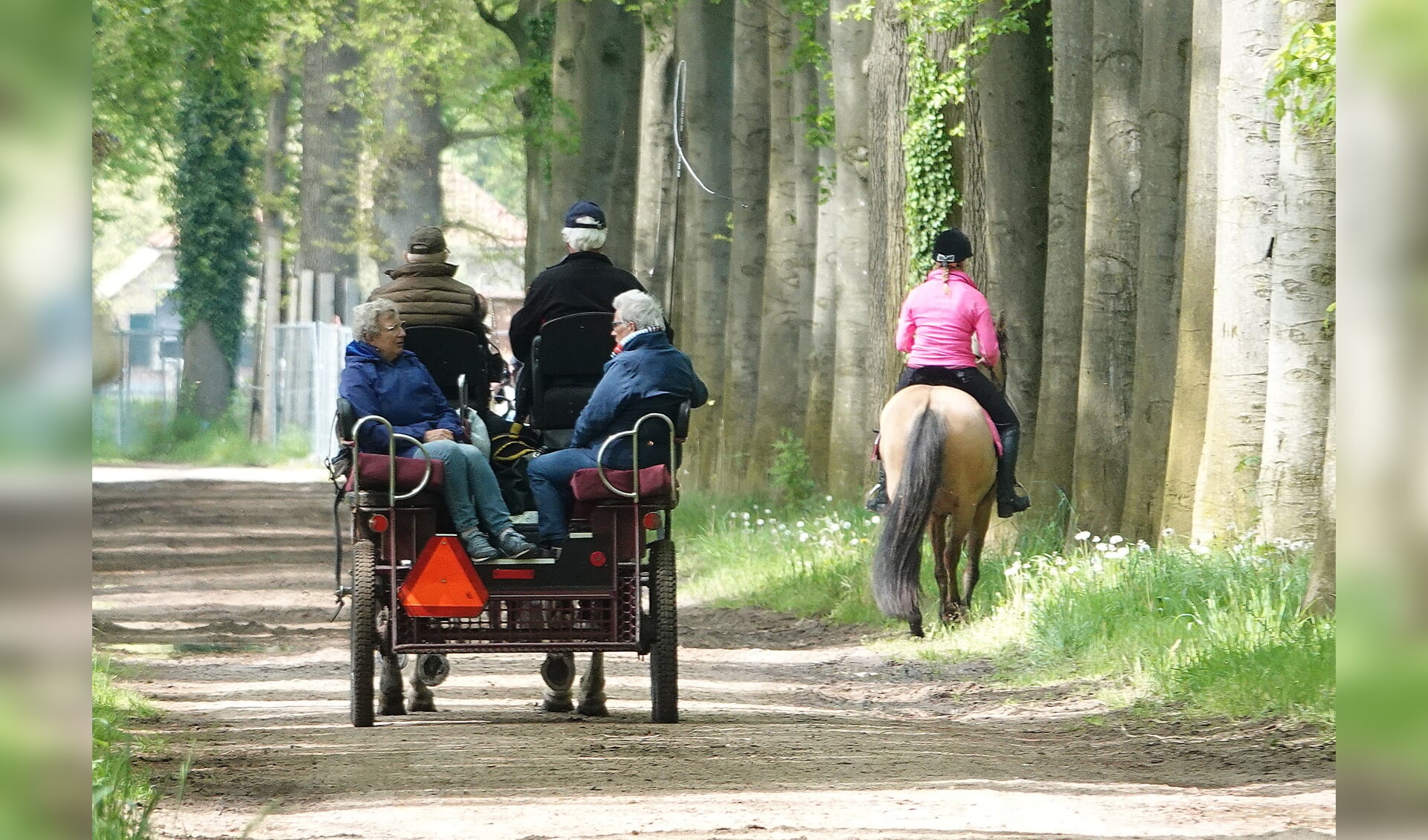Begin mei zal voor de laatste keer de Barchemse Paardenmeerdaagse plaatsvinden. Foto: Achterhoekfoto.nl/Gradus Derksen 