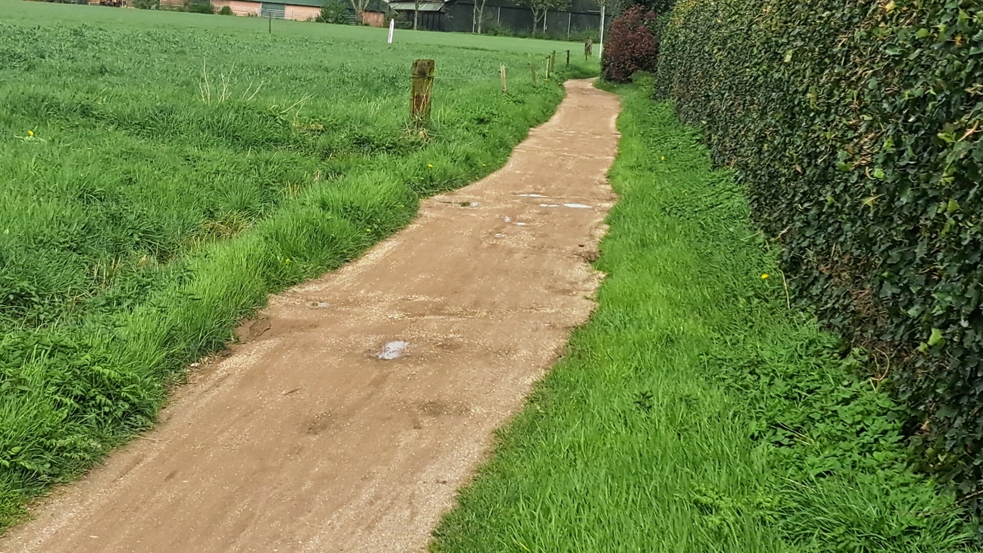 Het fiets/wandelpad ligt nu regelmatig vol plassen en kuilen, dat gaat binnenkort veranderen. Foto: Kyra Broshuis