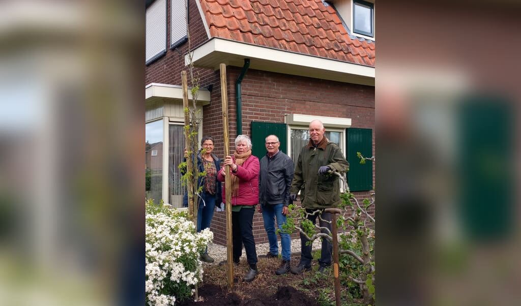 Marijke Veldhorst (eigenaresse tuin met een zuilvormige amberboom), Jantien Vlam, Hans Venderbosch en Joop Smeenk (allen Werkgroep Verkeer) (v.l.n.r.). Foto: M. Ratering