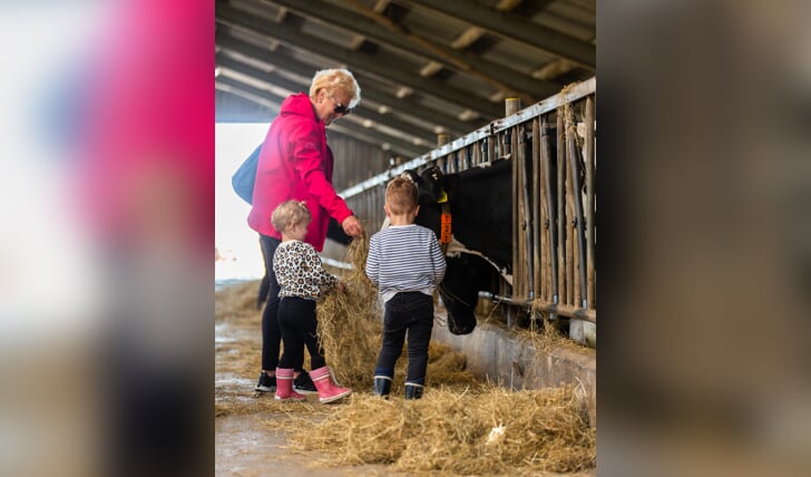 Boeren in Gelderland laten bezoekers tijdens de Open Boerderijdagen 2024 zien waar zuivel vandaan komt. Foto: PR