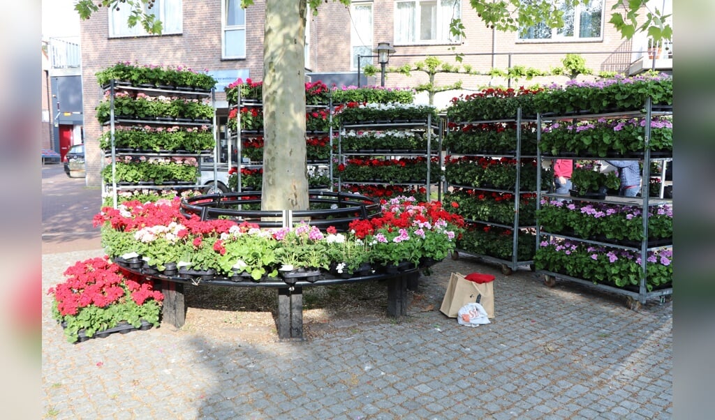 De geraniumkraam op de Markt in Zelhem. Foto: PR