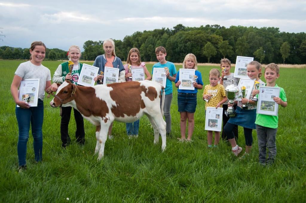 De keuring van de Kalveropfokclub Borculo heeft als doel kinderen te leren omgaan met dieren; vorig jaar deden tien kinderen mee. Foto: PR