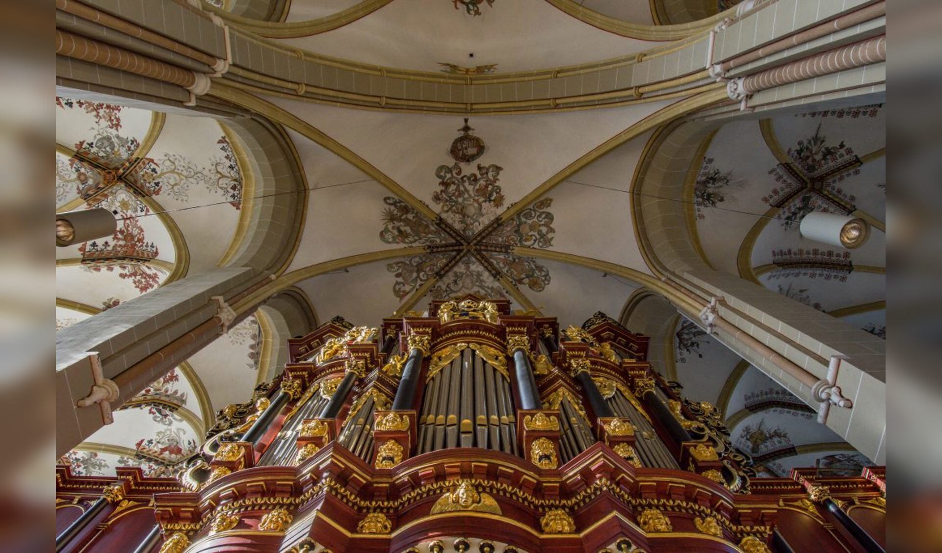 Orgel van de Walburgiskerk. Foto: PR