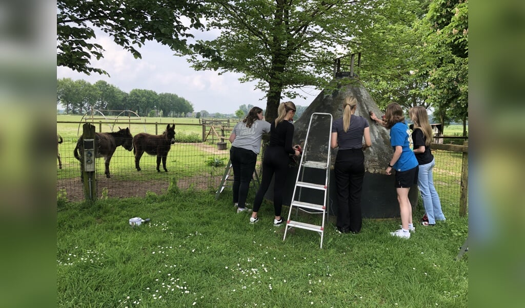 De studenten van het Graafschap College aan het werk bij de overkapping voor ezels. Foto: Present Bronckhorst