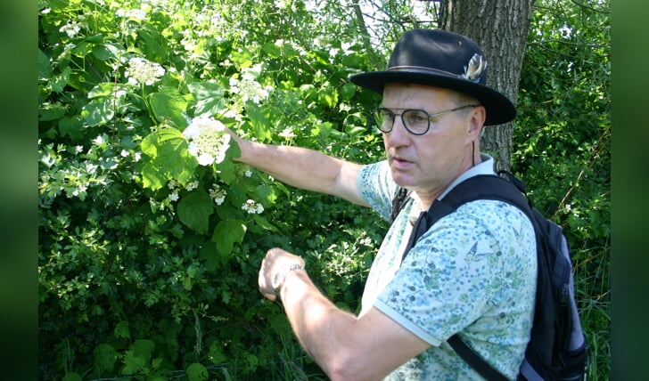 Natuurgids Wim van den Brink vertelt over de Gelderse roos. Foto: Guus Helle