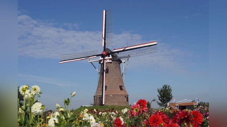De Rekkense molenaars laten op de tweede zaterdag in mei (10 mei) graag de wieken draaien tijdens de Nationale Molendag. Foto: PR