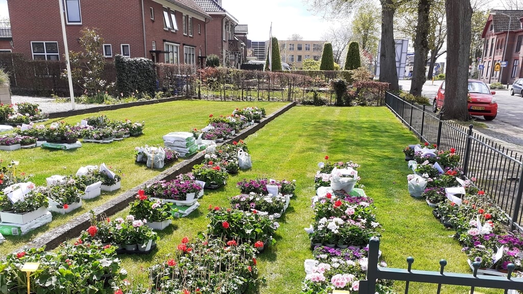 Klaar voor de Moederdag Bloemenactie van Con Forza. Foto: PR