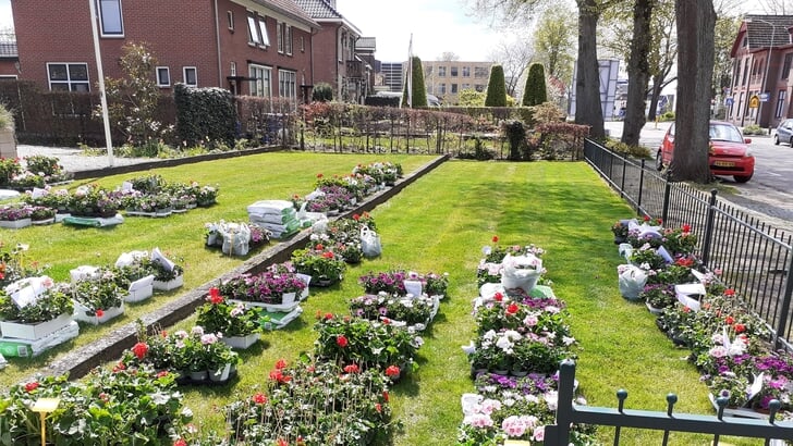 Klaar voor de Moederdag Bloemenactie van Con Forza. Foto: PR