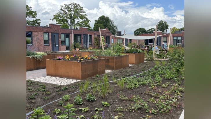 De recent aangelegde tuin tussen de twaalf woningen van het Aaltens Hofje. Foto: PR