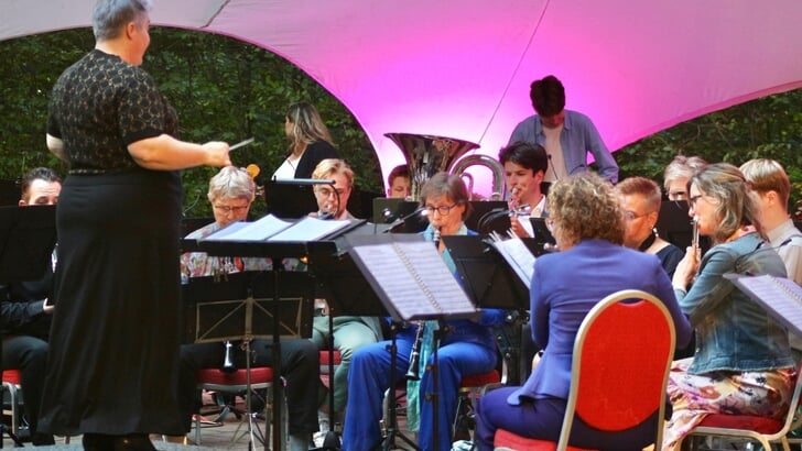 Het recreantenorkest treedt op bij De Zonnebloem. Foto: PR