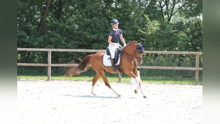 Linde van der Pennen met Aalbrinkhoeve's Daylight. Foto: Yvette Kuster Toebes