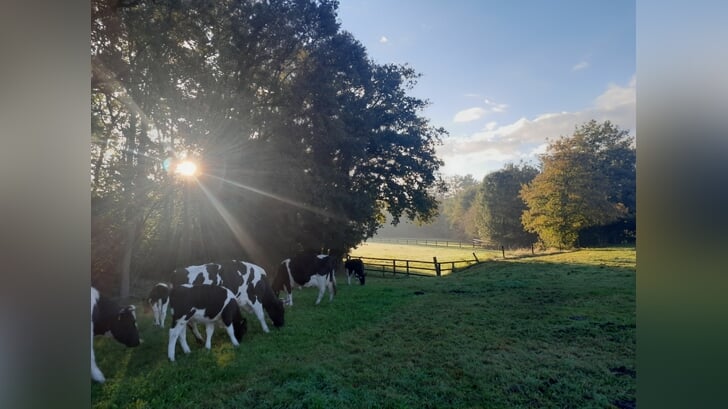 Zonsopgang bij Boerderie de Leefhebberie in Barlo. Foto: PR