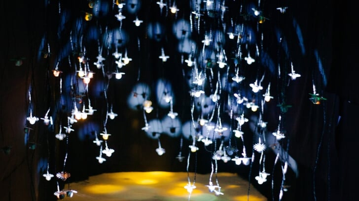 Installatie van Flore-Hanne-Wormskamp. Foto: PR