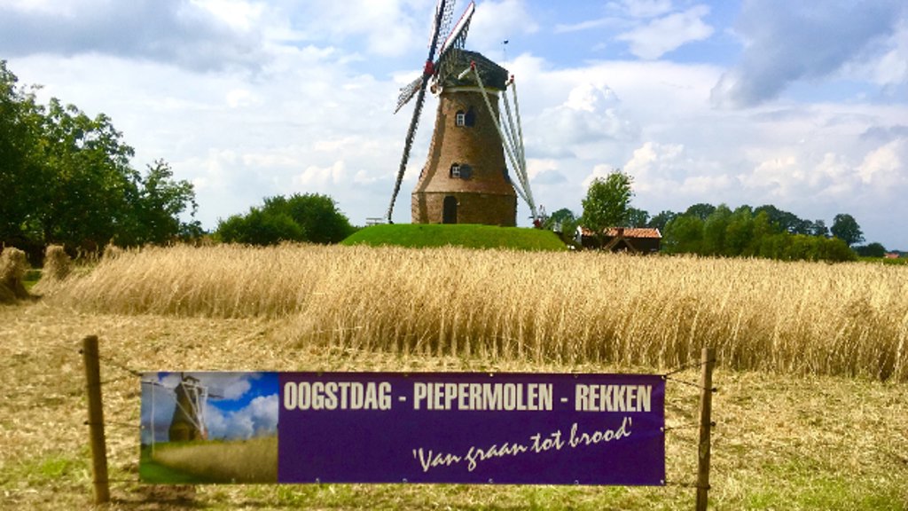 Oogstdag in Rekken. Foto: C. Huijsmans 