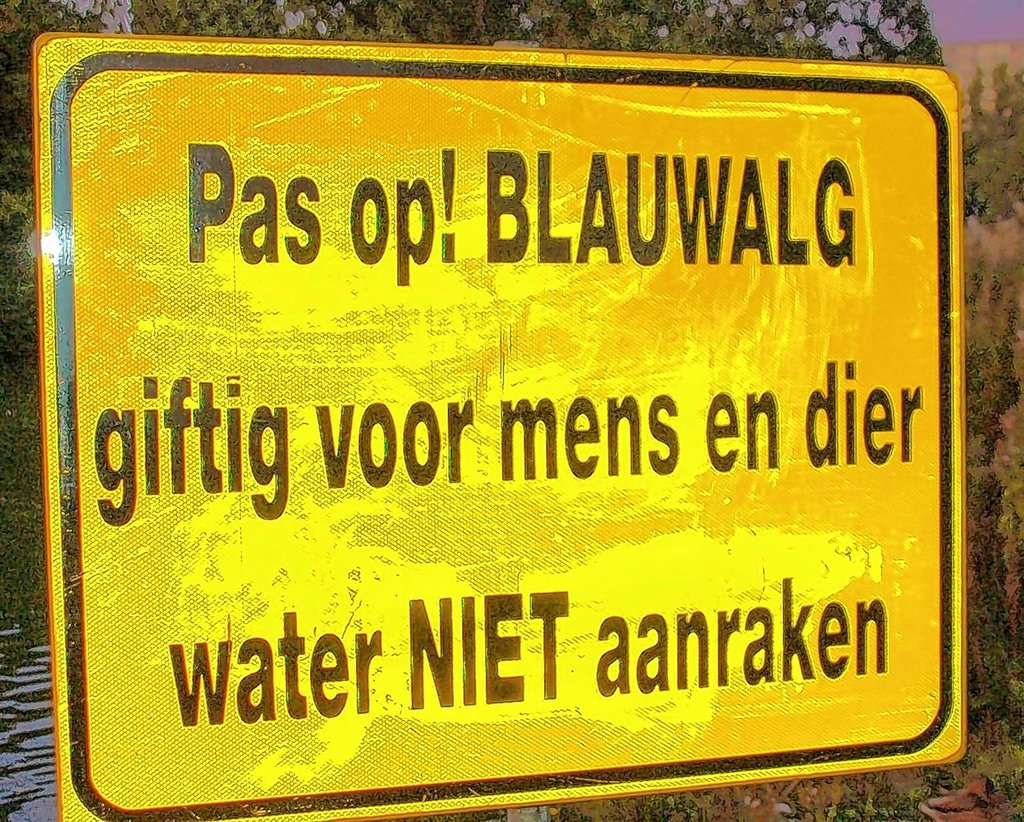 Een waarschuwingsbord dat je kunt tegenkomen bij zwemwater met te veel blauwalg. Archieffoto: Lydia ter Welle
