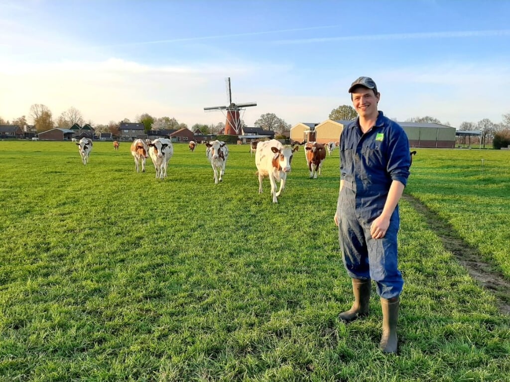Emiel Koskamp bij zijn koeien in de wei in Lintelo. Foto: eigen foto