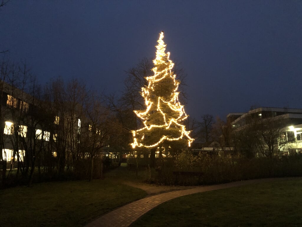 Bewoners kunnen genieten van de fraaie kerstboom. Foto: PR 