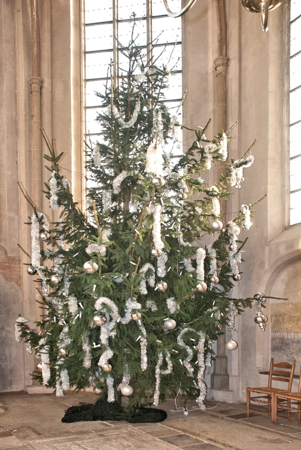 De kerstboom in de Jacobskerk. Foto: Ans ter Horst