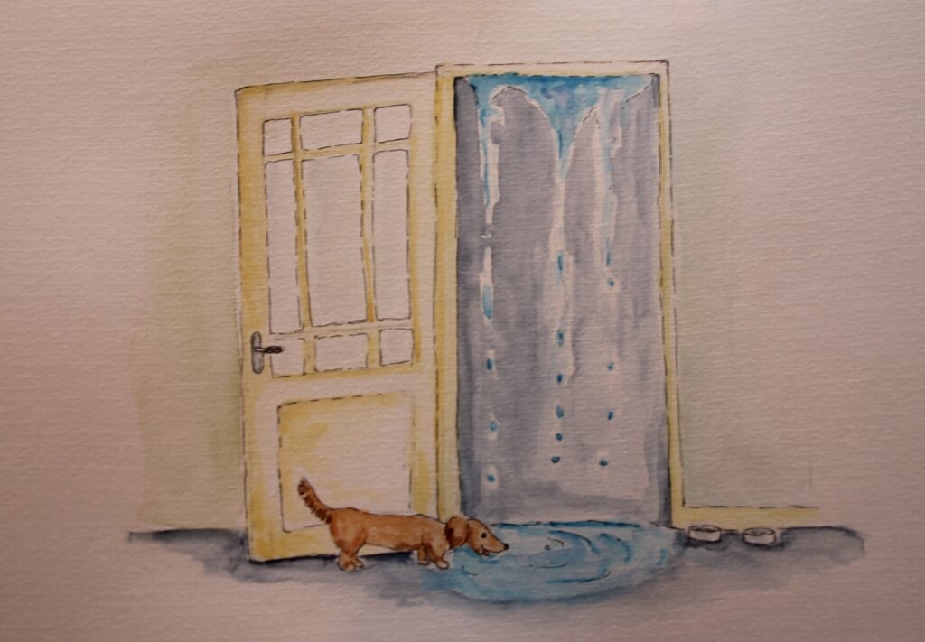 Een waterval in huis. Illustratie: Manon Wensink-Veenhuis