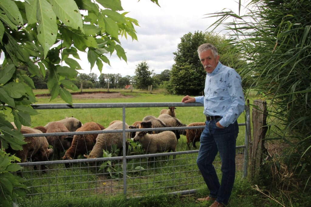 Frits Küpers bij de schapen op zijn boerderij. Foto Lydia ter Welle