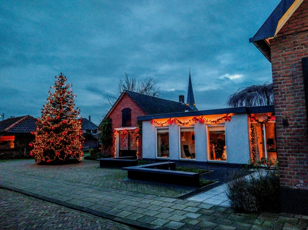 De enorme kerstboom in de tuin van Wim Polman is een heuse blikvanger. Foto: Liesbeth Spaansen