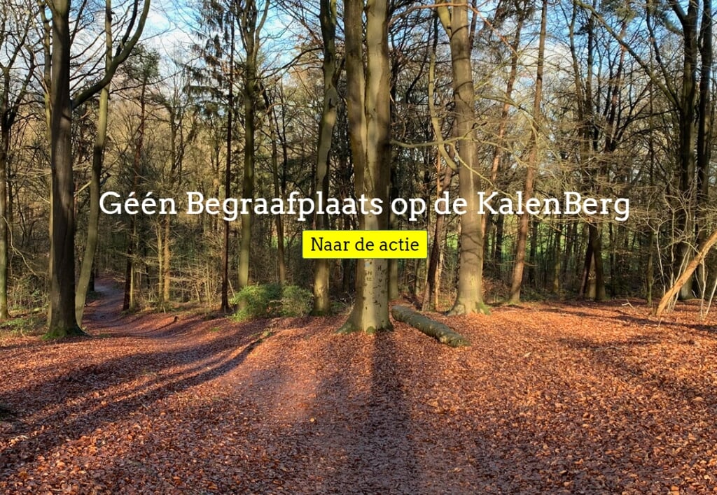 Zo ziet de homepage van de website de-kalenberg.nl eruit