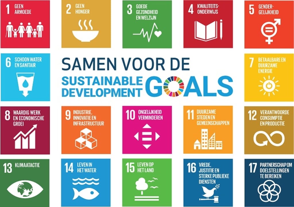De 17 SDG's. Foto: PR
