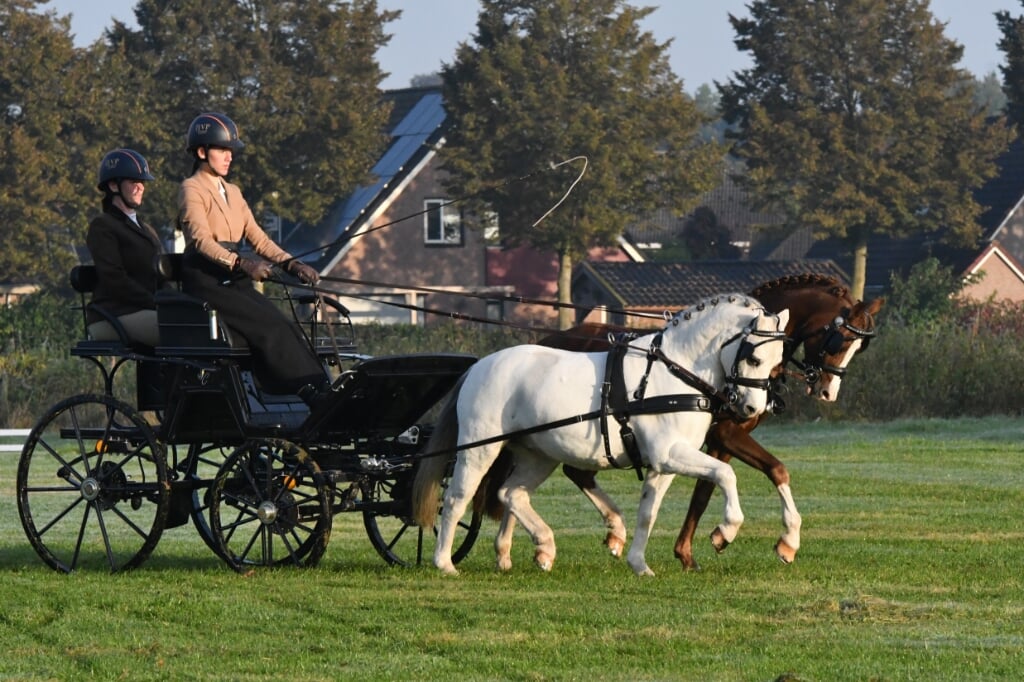 Pony's Sam Couwenberg uit Veulen. Foto: Theo Janssen